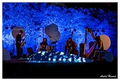 Leo-Fumagalli&amp;Clemens-Kuratle&amp;Manu-Hagmann&amp;Campiche DSC 1844