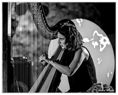 Julie-Campiche DSC 2148 N&amp;B 5x4