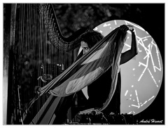 Julie-Campiche DSC 2184 N&amp;B 3x4-2