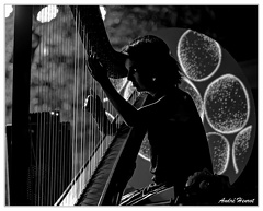 Julie-Campiche DSC 1991 N&amp;B 5x4