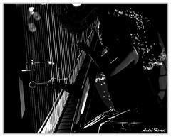 Julie-Campiche DSC 1953 N&amp;B 5x4