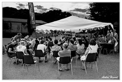 Ladiz DSC 2311 N&amp;B