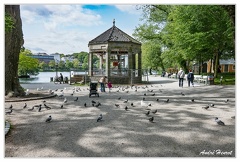 Stavanger DSC 0850