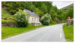 Vindhella-Borgund-Maison IMG 8250