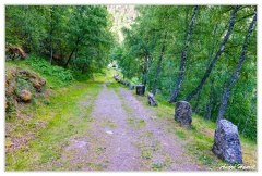 Chemin-de-Vindhella DSC 1146