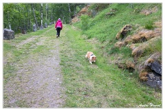 Chemin-de-Vindhella DSC 1147