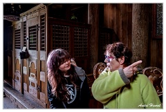 Urnes-Stavkirke DSC 1234