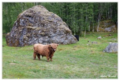 Luster Asafossen DSC 1255