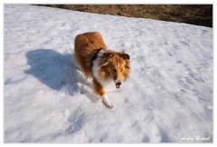 Route-55 Vittel DSC 1267-2