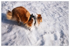 Route-55 Vittel DSC 1268