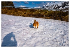 Route-55 Vittel DSC 1273