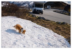 Route-55 Vittel DSC 1269