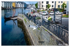 Alesund DSC 1367