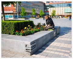 Espaces-Verts DSC 1429 5x4