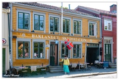 Trondheim M-C DSC 1513