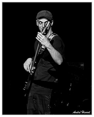 Theo-Zipper DSC 8269 N&amp;B 5x4