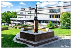 Hamar DSC 1803