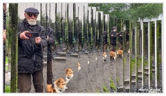 Jenaker Kistefos IMG 8706