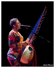 Sona-Jobarteh DSC 8614 5x4