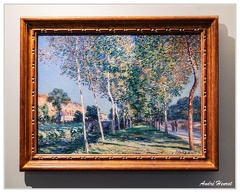 Alfred-Sisley DSC 6591 5x4