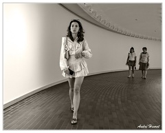 Louisiana DSC 2311 N&amp;B 5x4