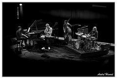 Alex-Koo&amp;Greg-Lamy&amp;Philippe-Aerts&amp;Dre-Pallemaerts DSC 7544 N&amp;B