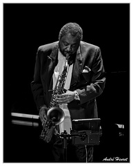 Chico-Freeman DSC 8130 N&amp;B 5x4