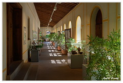 Villa-Borg Perl DSC 9138