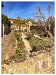 Deidesheim IMG 7831