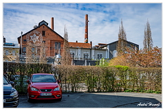 Bayreuth Maisel DSC 5582