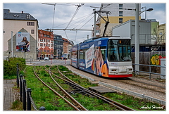 Zwickau DSC 5585