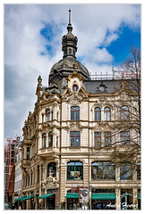 Zwickau DSC 5629