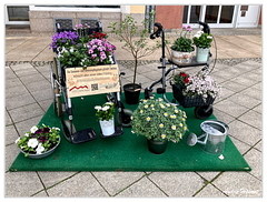 Zwickau IMG 7984