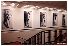 Helmut-Newton-Foundation Museum-fur-Fotografie DSC 5782