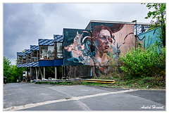 Teufelsberg DSC 5844