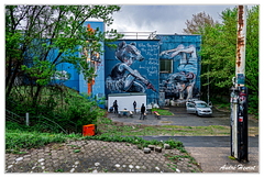 Teufelsberg DSC 5846