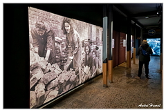 Teufelsberg DSC 5859