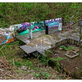Teufelsberg DSC 5864