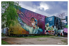 Teufelsberg DSC 5862
