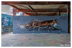 Teufelsberg DSC 5865