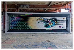 Teufelsberg DSC 5869