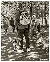 Bon-point-de-vue DSC 6035 N&amp;B 5x4