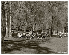 Concentration-de-poussettes DSC 6092 N&amp;B 5x4