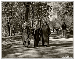 Voile DSC 6131 N&amp;B 5x4