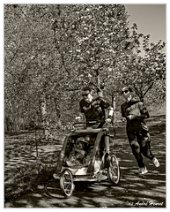 Footing-poussette DSC 6030 N&amp;B 5x4