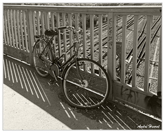 Ciceron-c-est-pioncare DSC 6010 N&amp;B 5x4