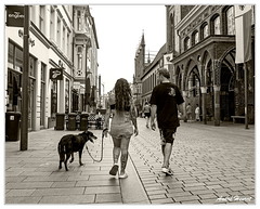 Promenade-chien DSC 2380 N&amp;B 5x4