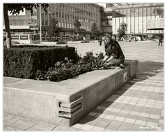 Espaces-Verts DSC 1429 N&amp;B 5x4