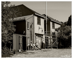 Bronzage DSC 1520 N&amp;B 5x4