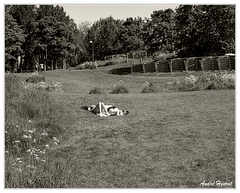 Bronzage DSC 1499 N&amp;B 5x4